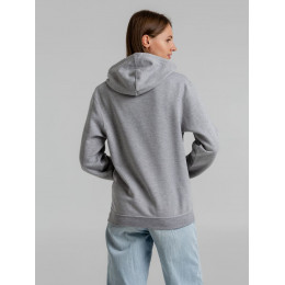 Толстовка с капюшоном Snake II серый меланж