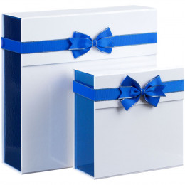 Коробка складная Gallant, M, белая с синим