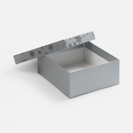 Коробка Wintry, серебристая