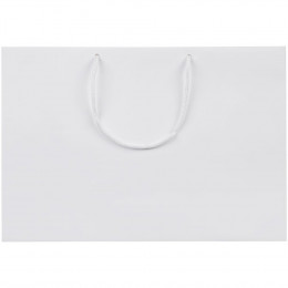 Пакет бумажный Ample Thin M, белый