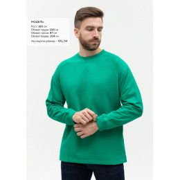 Свитшот унисекс STAN футер с начёсом 220, 60