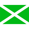 Флаг таможенных органов Российской Федерации (ФТС России)