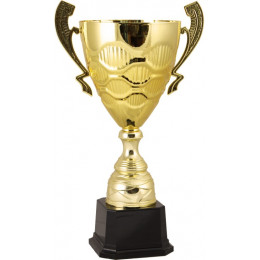 Кубок 2010C (49 см) D-200