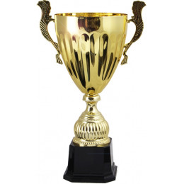 Кубок 3537D (31 см) D-120